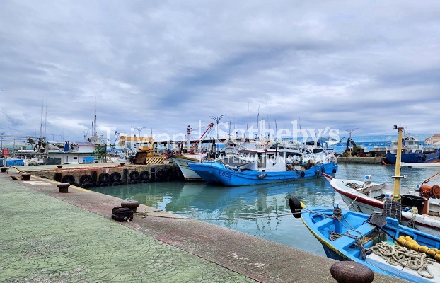 台東杉原濱海渡假村開發用地現場實景